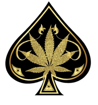 ACE ULTRA PREMIUM